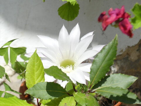 品牌彩票保障